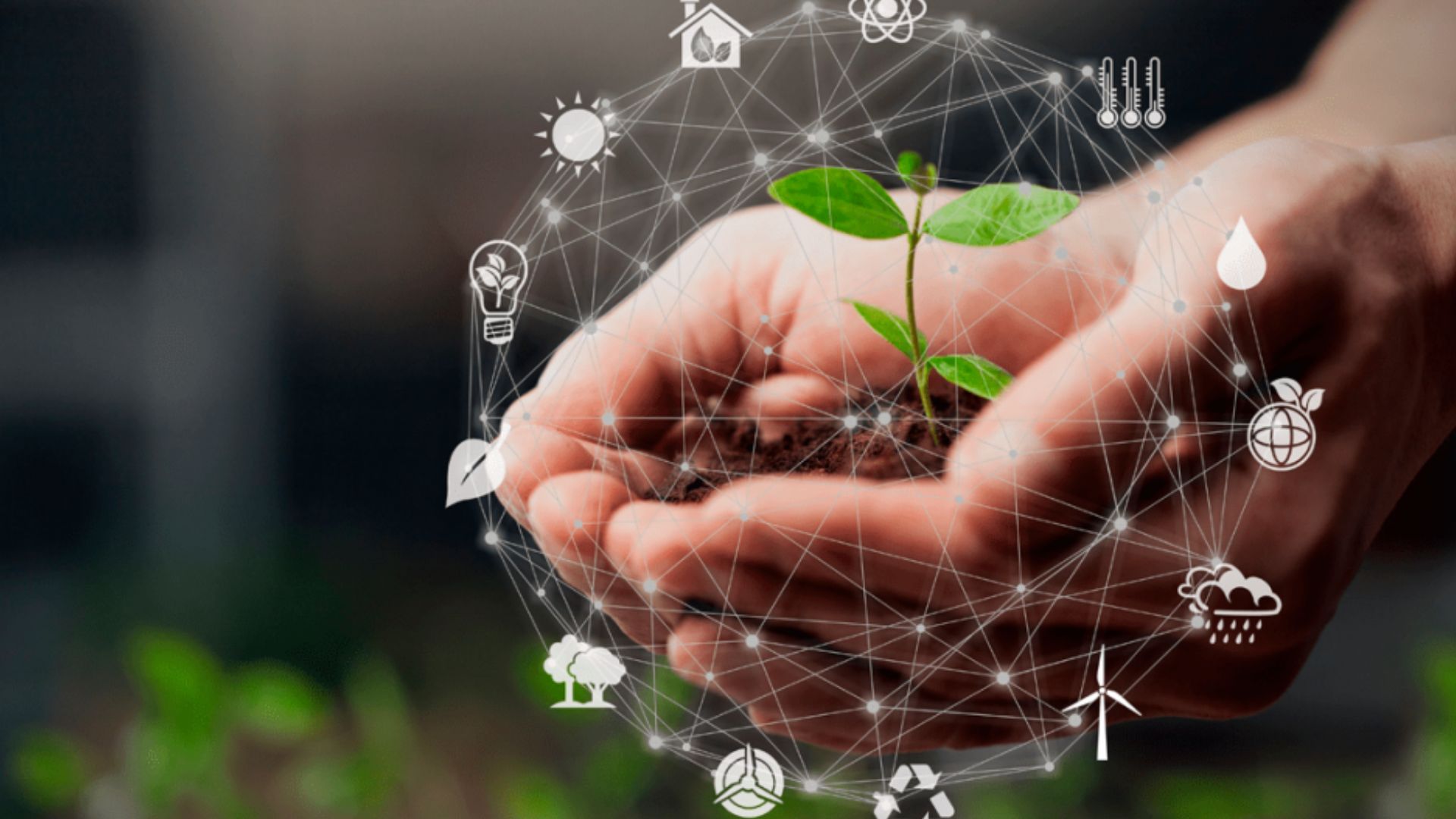 Ideias sustentáveis para empresas