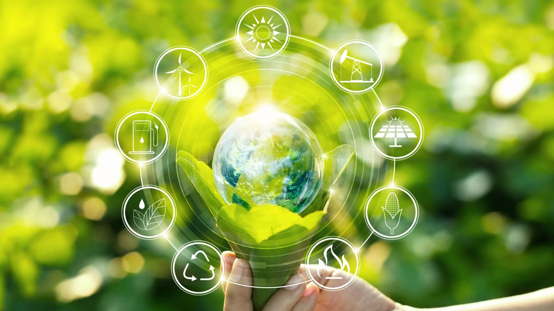 O que é responsabilidade socioambiental empresarial