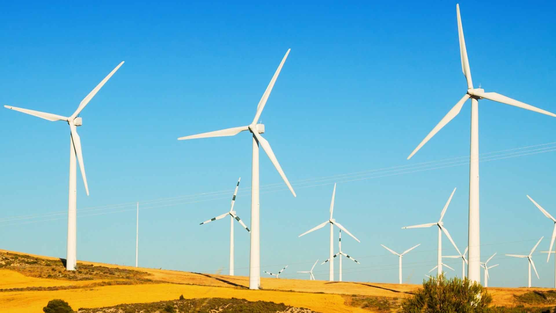 Recicle & Cia empresa de gestão de resíduos em parques eólicos