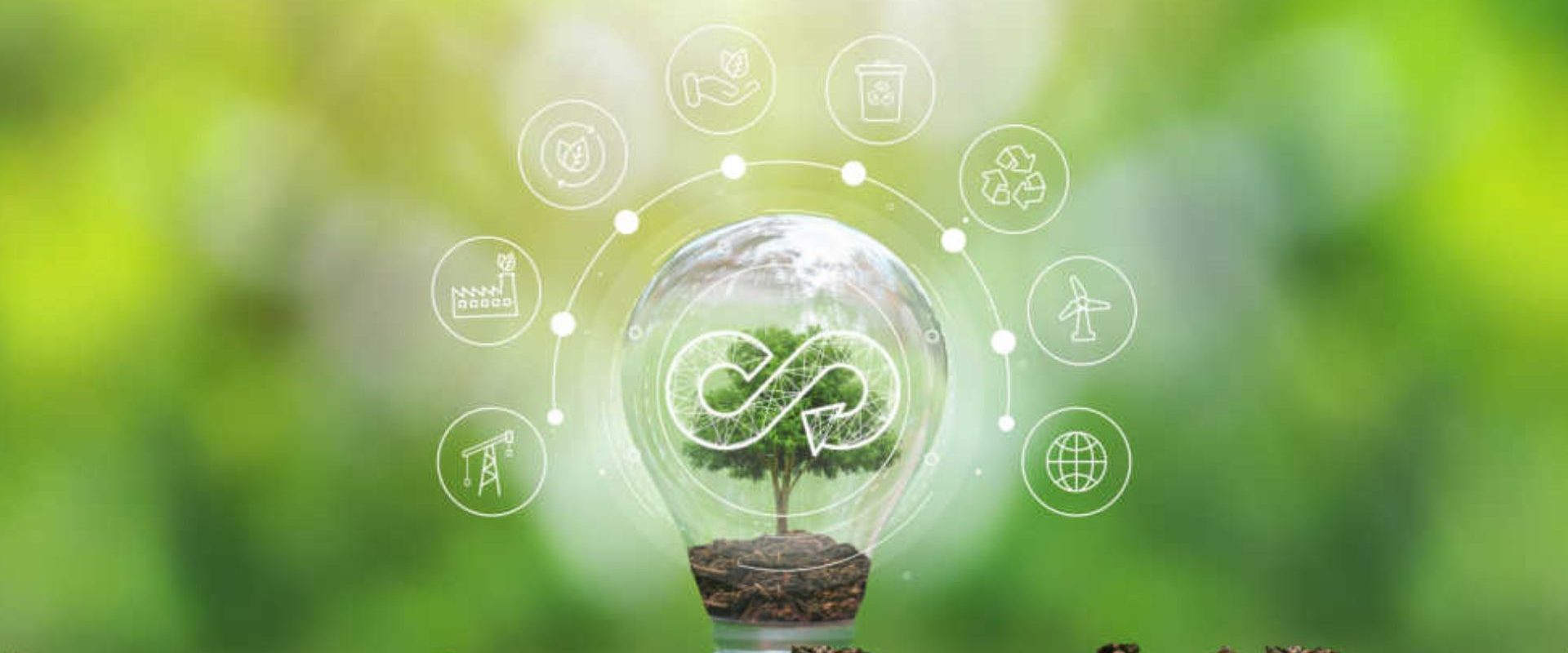 Economia circular e sustentabilidade o caminho inteligente
