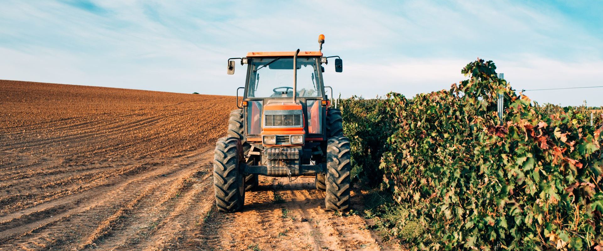 Gestão de Resíduos na Agropecuária Práticas Sustentáveis