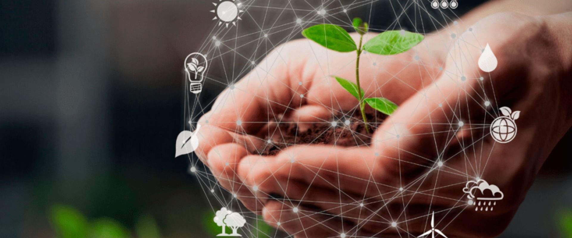 Ideias sustentáveis para empresas