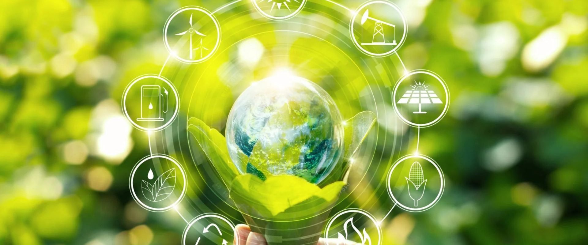 O que é responsabilidade socioambiental empresarial