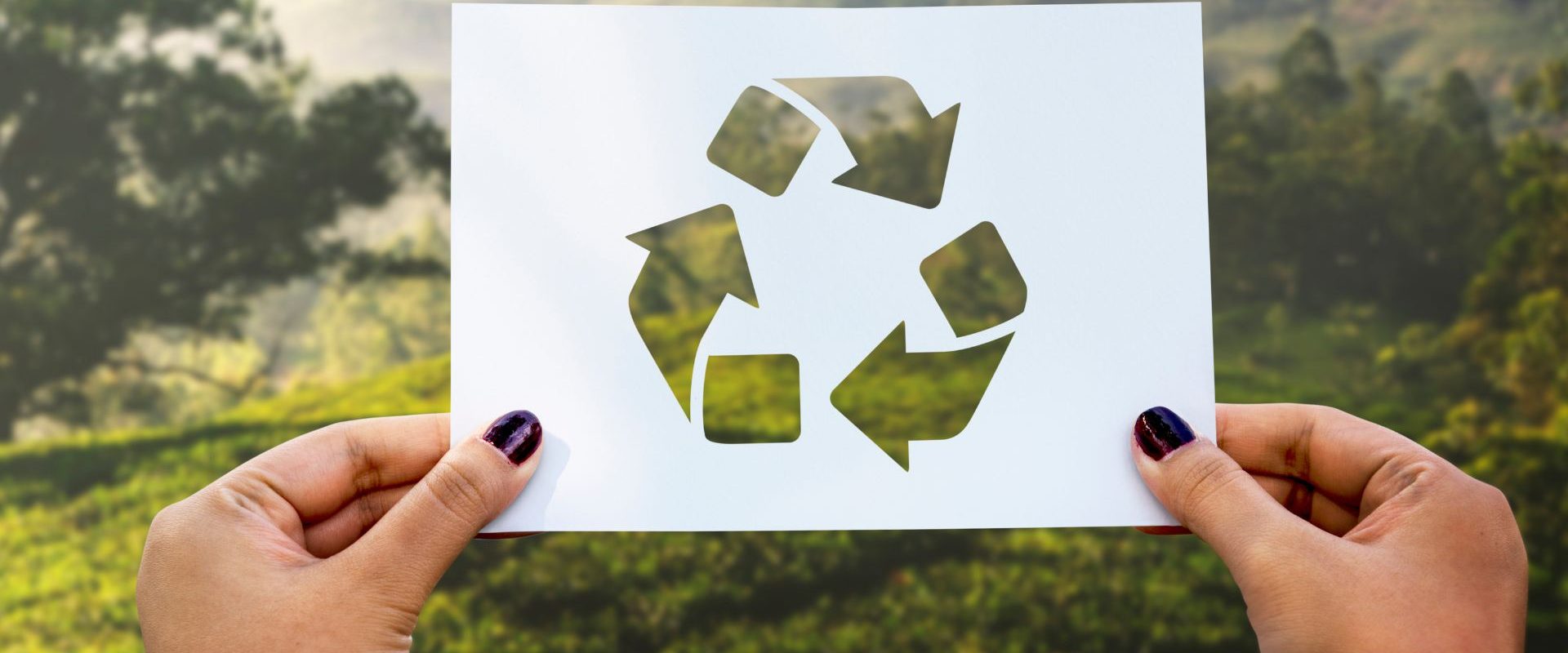 Saiba agora quais são os benefícios da reciclagem para empresas