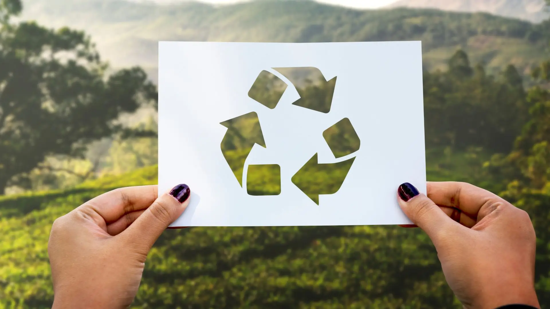 Saiba agora quais são os benefícios da reciclagem para empresas