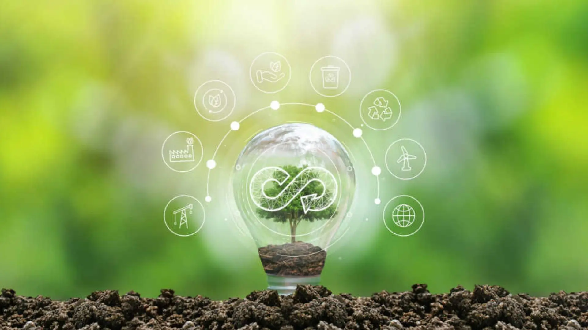Economia circular e sustentabilidade o caminho inteligente